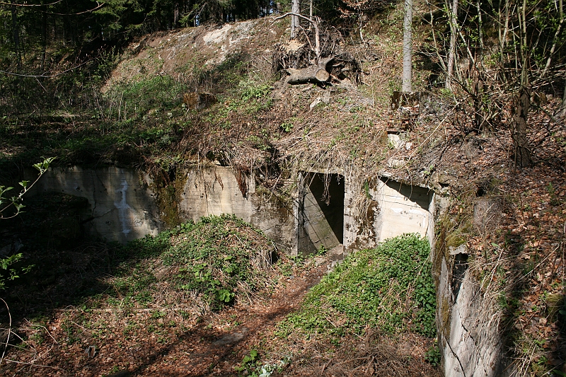 a 289
